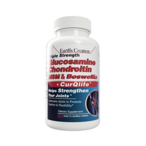 TRIPLE STRENGTH GLUCOSAMINE CHRONDROINTIN MSM + BOSWELIA - 60 TABLETS