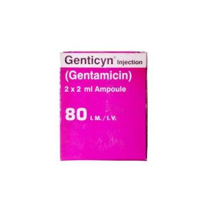 GENTAMYCIN INJ 40MG/ML- 2 VIALS